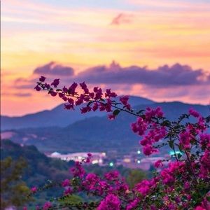 Meet your Posher, Destiny